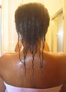 braid out on transitioning hair