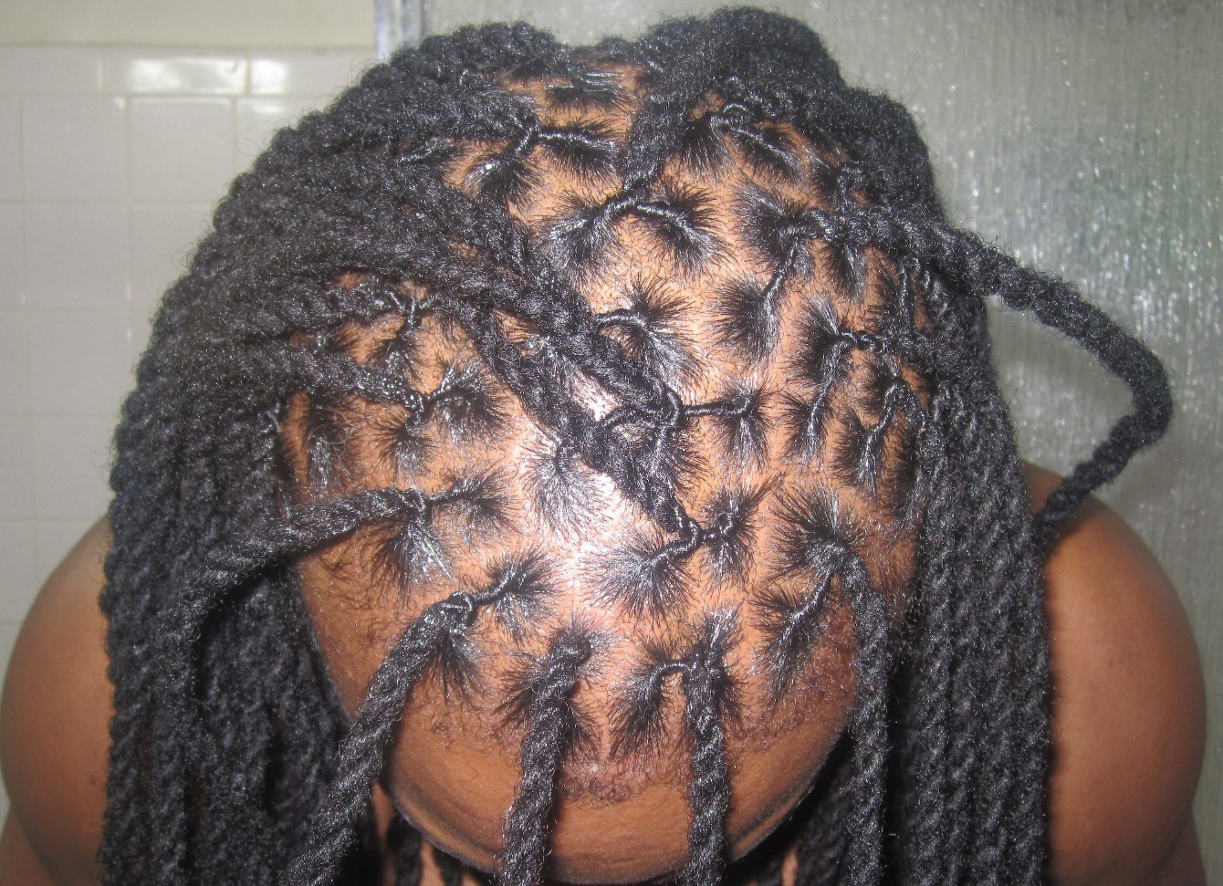 parting - two strand twisted dreadlocks